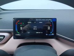 BYD Seagull Smart Drive 305km Vitality Edition - ფოტო 14