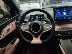 BYD Seagull Smart Drive 305km Vitality Edition - ფოტო 15