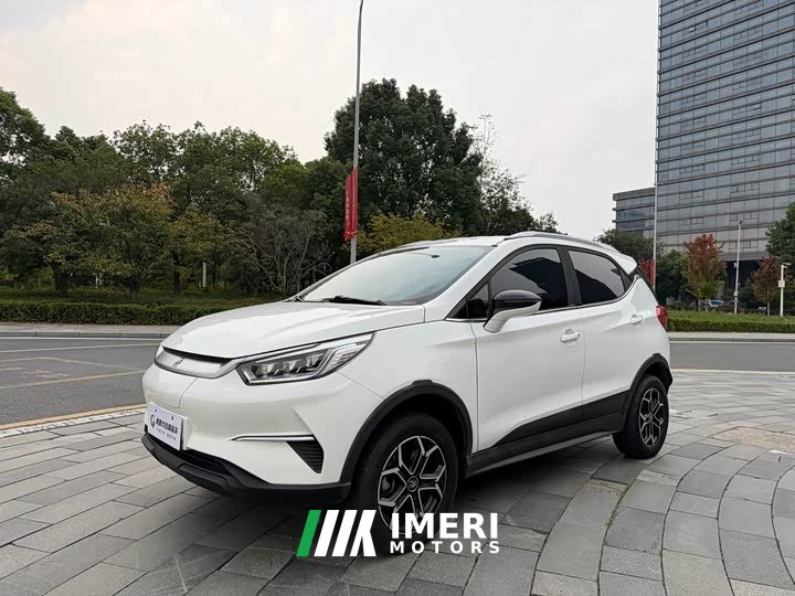 BYD Yuan Pro Love for Life Edition - ავტომობილი ჩინეთიდან