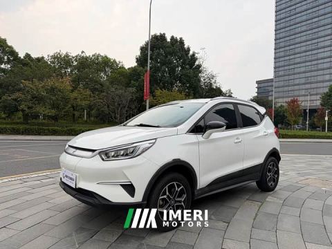 2021 BYD Yuan Pro Love for Life Edition