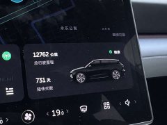 NIO ES6 75kWh - ფოტო 14