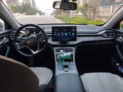 BYD Destroyer 05 Glory Edition DM-i 55KM Luxury - ფოტო 10