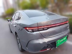 BYD Destroyer 05 Glory Edition DM-i 55KM Luxury - ფოტო 4