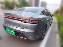 BYD Destroyer 05 Glory Edition DM-i 55KM Luxury - ფოტო 6