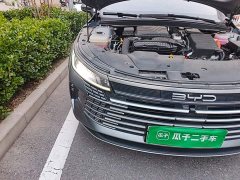 BYD Destroyer 05 Glory Edition DM-i 55KM Luxury - ფოტო 7