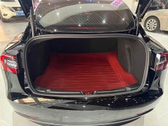 Tesla Model 3 Facelift Standard Range RWD Upgrade 3D1 - ფოტო 13