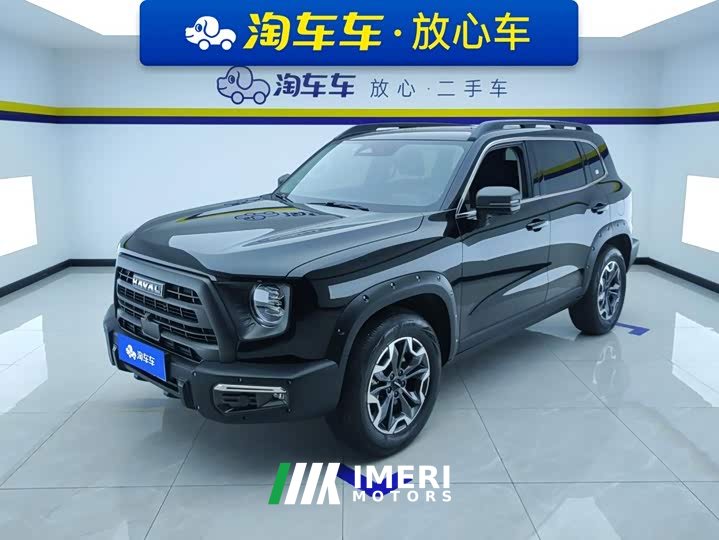 Great Wall Dachshund 2.0T DCT Chinese Rural Dog Edition - ავტომობილი ჩინეთიდან