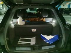 Cadillac XT5 2.0T Luxury - ფოტო 4