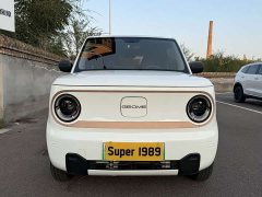 Geely Panda 2024 Panda Mini 200km Endurance Edition - ფოტო 2