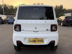 Geely Panda 2024 Panda Mini 200km Endurance Edition - ფოტო 5
