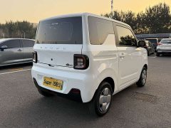 Geely Panda 2024 Panda Mini 200km Endurance Edition - ფოტო 6