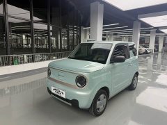 Geely Panda Mini 200km Endurance Edition - ფოტო 1