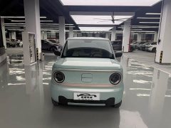 Geely Panda Mini 200km Endurance Edition - ფოტო 2