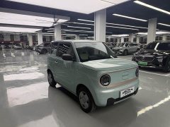 Geely Panda Mini 200km Endurance Edition - ფოტო 3
