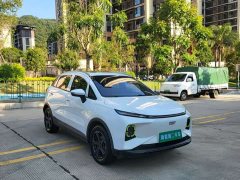 Geely Geometry E Firefly 401KM Linglong Tiger 5-Seater - ფოტო 3