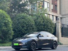 Tesla Model Y Rear-Wheel Drive - ფოტო 1