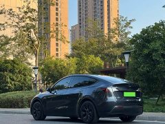 Tesla Model Y Rear-Wheel Drive - ფოტო 10
