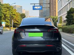 Tesla Model Y Rear-Wheel Drive - ფოტო 11