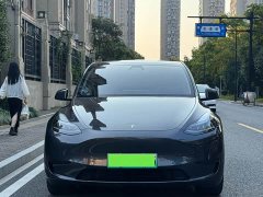 Tesla Model Y Rear-Wheel Drive - ფოტო 2