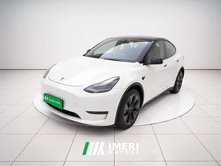Tesla Model Y Long Range All-Wheel Drive - ავტომობილი ჩინეთიდან