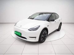 Tesla Model Y Long Range All-Wheel Drive - ფოტო 1