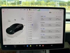 Tesla Model 3 2022 Rear-Wheel Drive - ფოტო 17