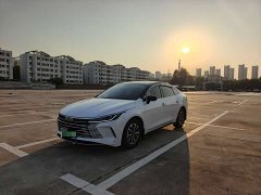 BYD Destroyer 05 Glory Edition DM-i 55KM Luxury - ფოტო 1
