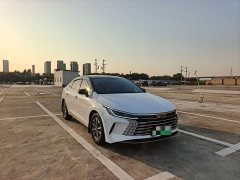 BYD Destroyer 05 Glory Edition DM-i 55KM Luxury - ფოტო 3