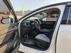BYD Destroyer 05 Glory Edition DM-i 55KM Luxury - ფოტო 4