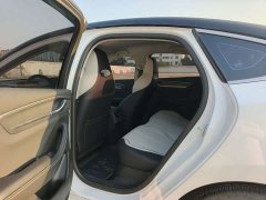 BYD Destroyer 05 Glory Edition DM-i 55KM Luxury - ფოტო 6