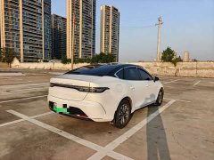 BYD Destroyer 05 Glory Edition DM-i 55KM Luxury - ფოტო 7
