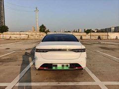 BYD Destroyer 05 Glory Edition DM-i 55KM Luxury - ფოტო 8