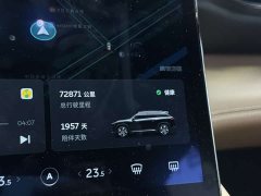 NIO ES6 2020 610KM Performance Edition - ფოტო 14