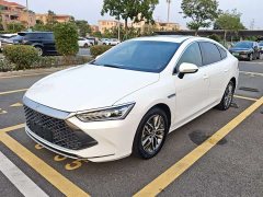 BYD Qin Plus DM-i 55KM Flagship - ფოტო 1