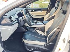 BYD Qin Plus DM-i 55KM Flagship - ფოტო 13