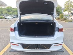BYD Qin Plus DM-i 55KM Flagship - ფოტო 20