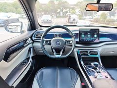 BYD Qin Plus DM-i 55KM Flagship - ფოტო 9