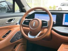 Great Wall WEY Blue Mountain Four-Wheel Drive Extended Range Version - ფოტო 11