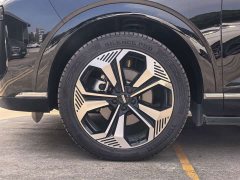 Great Wall WEY Blue Mountain Four-Wheel Drive Extended Range Version - ფოტო 19