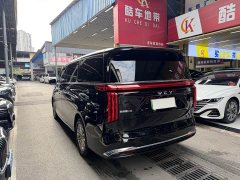 Great Wall WEY Shanshan New Energy Four-Wheel Drive Shanshan 8 - ფოტო 6