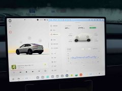 Nio Lerado L60 60kWh Rear-Wheel Drive - ფოტო 8