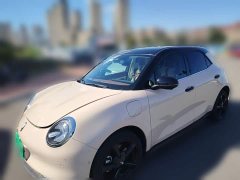 ORA Good Cat 401km Deluxe 135kW - ფოტო 1