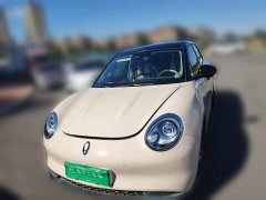 ORA Good Cat 401km Deluxe 135kW - ფოტო 2