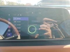 ORA Good Cat 401km Deluxe 135kW - ფოტო 20