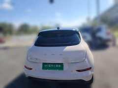 ORA Good Cat 401km Deluxe 135kW - ფოტო 3