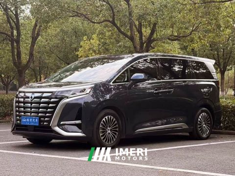 2024 Denza BYD Denza D9 DM-i 980 Four-Wheel Drive Flagship - ავტომობილი ჩინეთიდან
