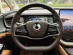 Denza BYD Denza D9 DM-i 980 Four-Wheel Drive Flagship - ფოტო 14