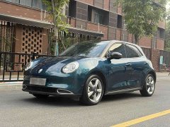 ORA Good Cat 400km Standard Range Athena Edition Ternary Lithium - ფოტო 1
