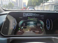 ORA Good Cat 400km Standard Range Athena Edition Ternary Lithium - ფოტო 15