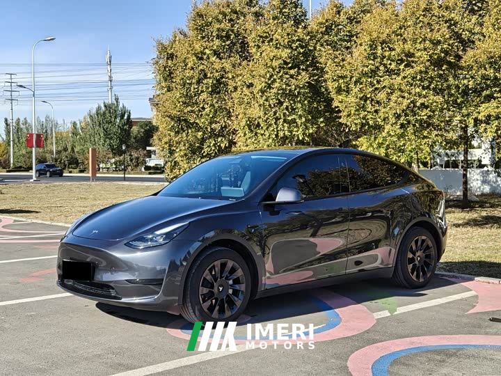 Tesla Model Y Rear-Wheel Drive